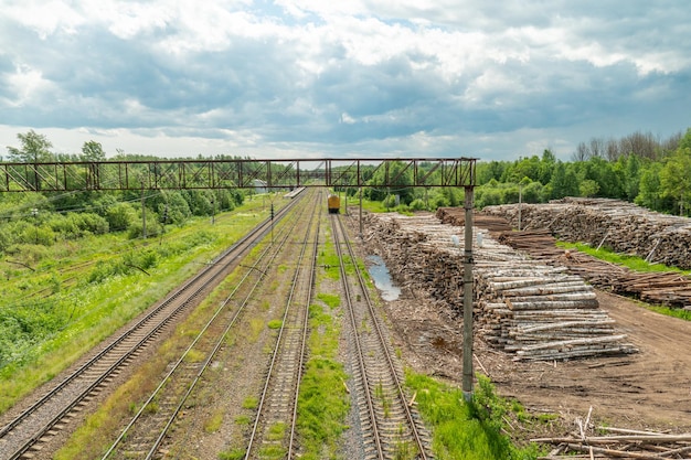 Harvesting of firewood Timber delivery by rail