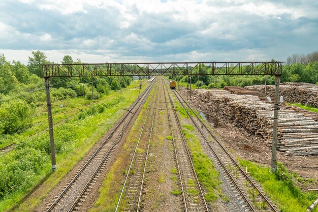 Harvesting of firewood Timber delivery by rail