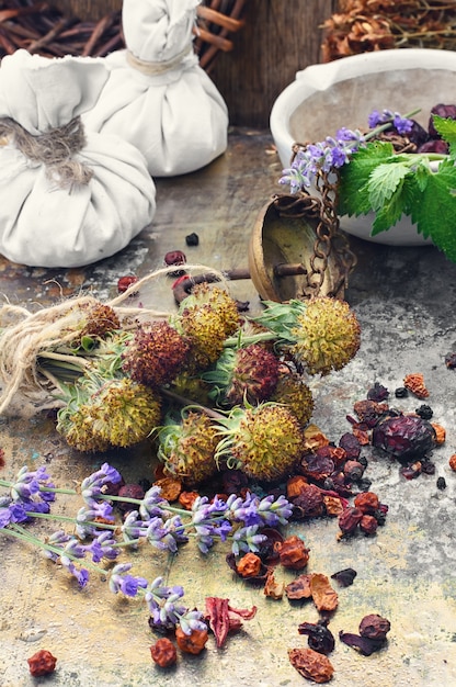 Harvesting medicine herbs