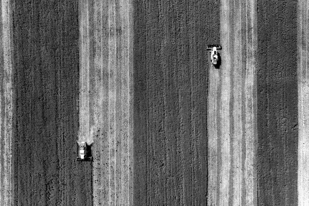 Harvesting time Agricultural industry Black and white aerial top view of combine harvester in field