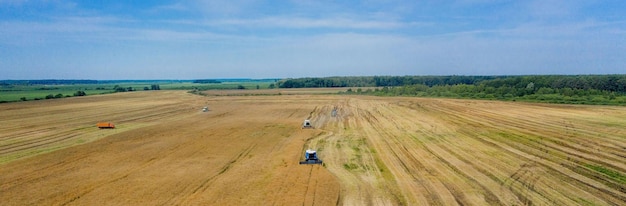 Raccolta del grano in estate due mietitrebbie che lavorano nel campo macchina agricola della mietitrebbiatrice che raccoglie grano maturo dorato sul campo vista dall'alto