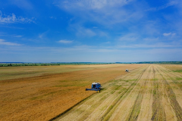 Raccolta del grano in estate. due mietitrici che lavorano nel campo. macchina agricola della mietitrebbiatrice che raccoglie grano maturo dorato sul campo. vista dall'alto.