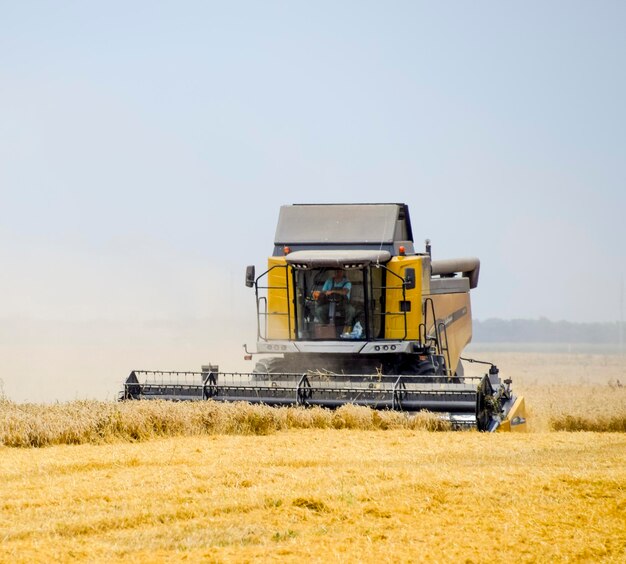 Foto la raccolta del grano con una combinatrice