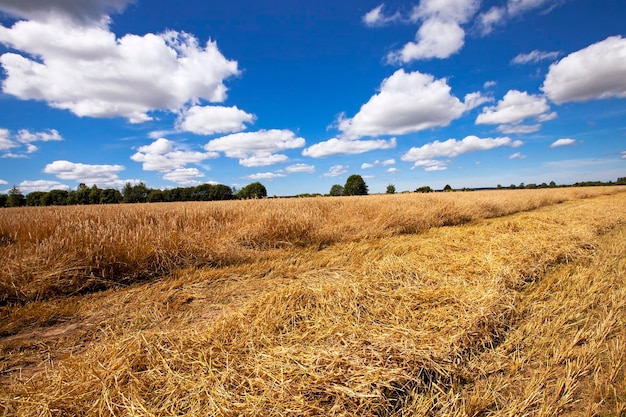 Harvesting