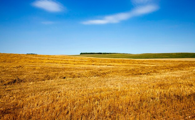 Harvesting