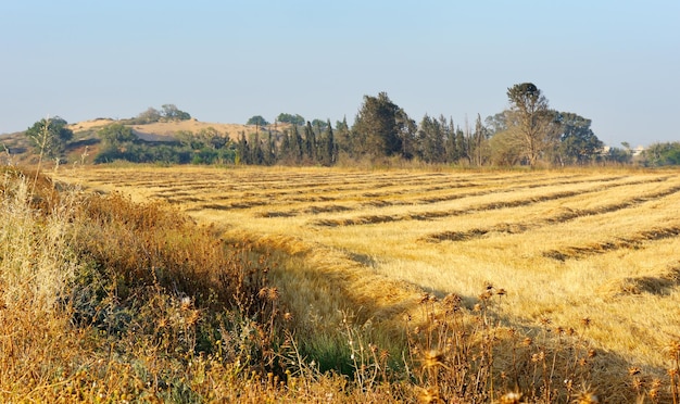 Harvesting