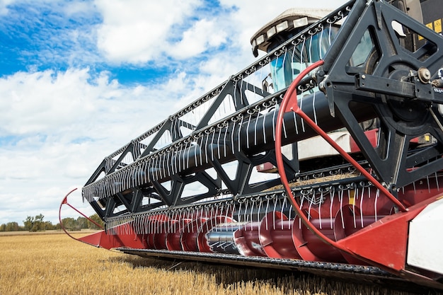 largest rice processing plant in california
