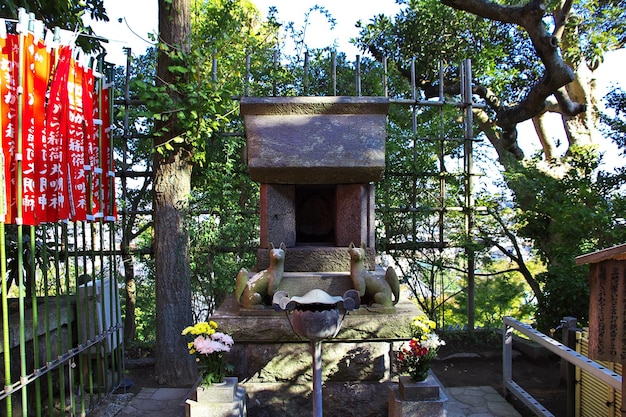 Foto hase-dera-tempel in kamakura, japan