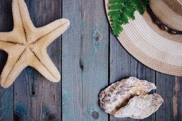 A hat, a fern leaf, a starfish, sea shells on the wooden background