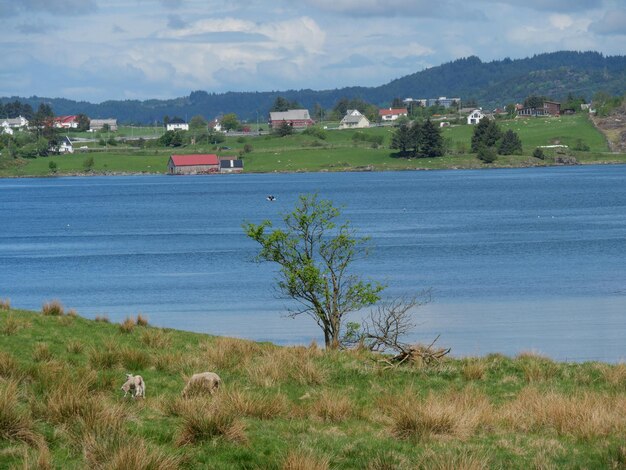 Photo haugesund and avaldsnes in norway