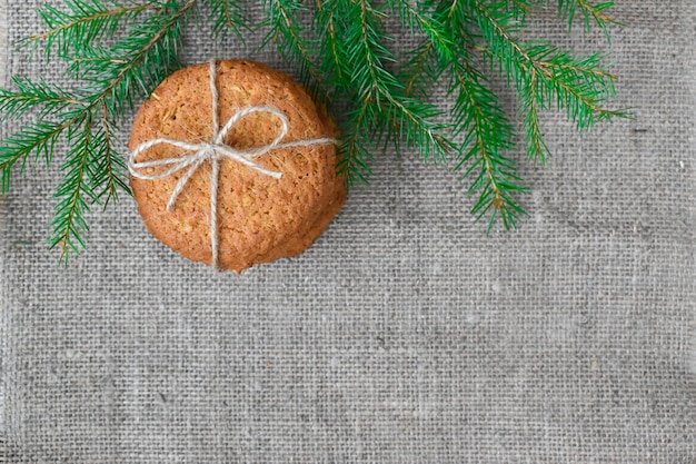 Haverkoekjes opknoping op een tak van een fir tree