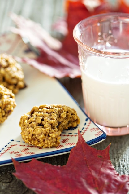 Havermoutkoekjes met pompoen