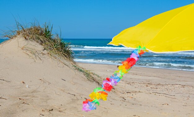 Hawaiian necklace fluttering in the sea breeze