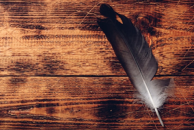 Hawk feather over wooden table