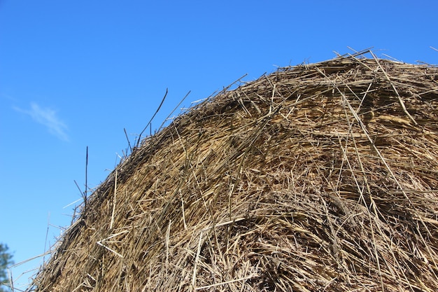 Hay bail harvesting in golden field landscape under clear blue sky