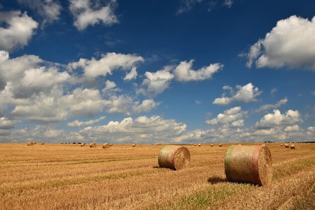 Hay bail harvesting in golden field landscape Summer Farm Scenery with Haystack on the background of Beautiful Sunset