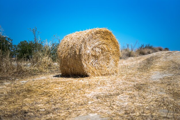 Hay bale on agricultural field against clear blue sky