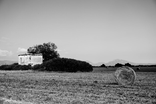 Foto balle di fieno sul campo contro il cielo