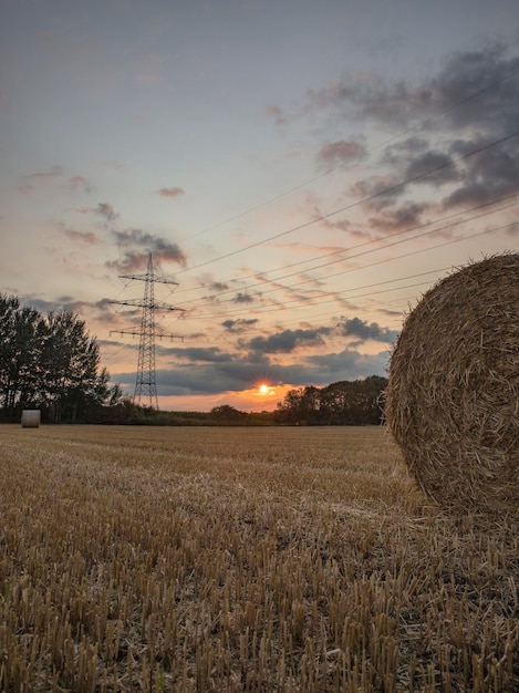 A hay bale in a field with the sun setting behind it.