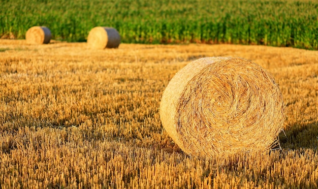 Hay bale fields and farmlands