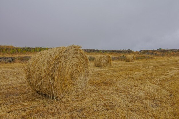 Hay Bale In The Foreground Of Rural Field