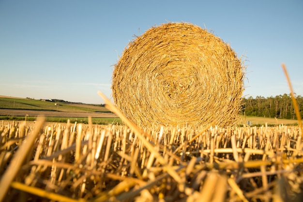 Тюки сена на убранном поле в Германии.