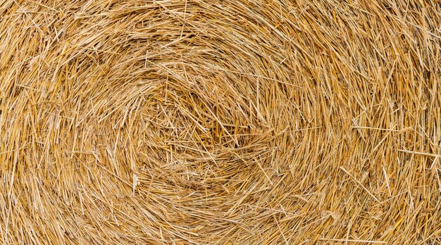 Foto hay bale is stacked in large stack rural autumn with hay straw summer background haystack straw prepared for farm stack dry hay hay texture haystack storage