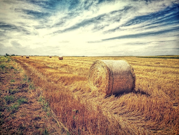 Foto una palla di fieno sul paesaggio contro le nuvole