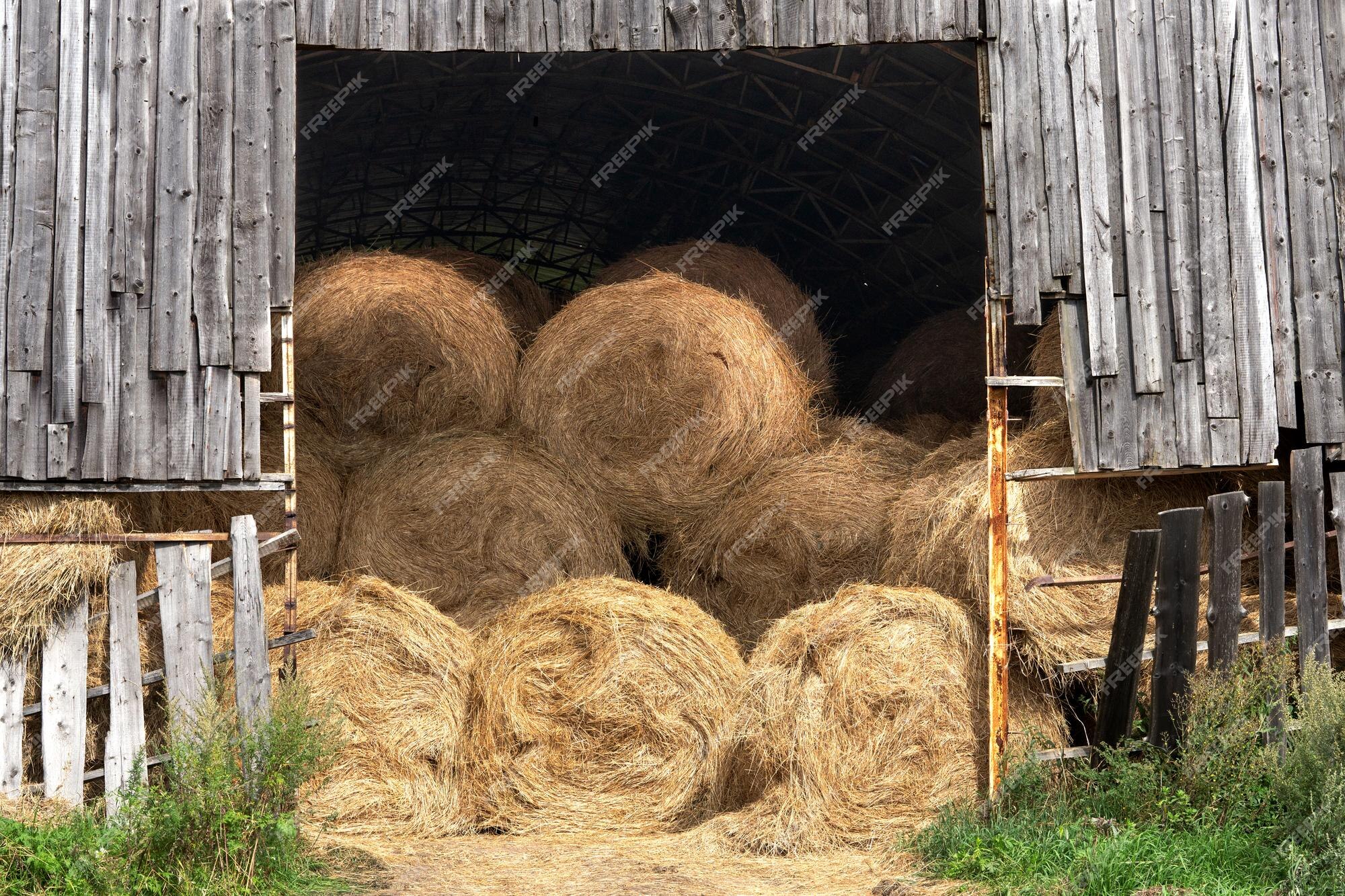 Small Hay Bale  Oriental Trading