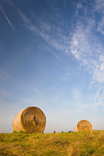 Photo hay bales under blue sky