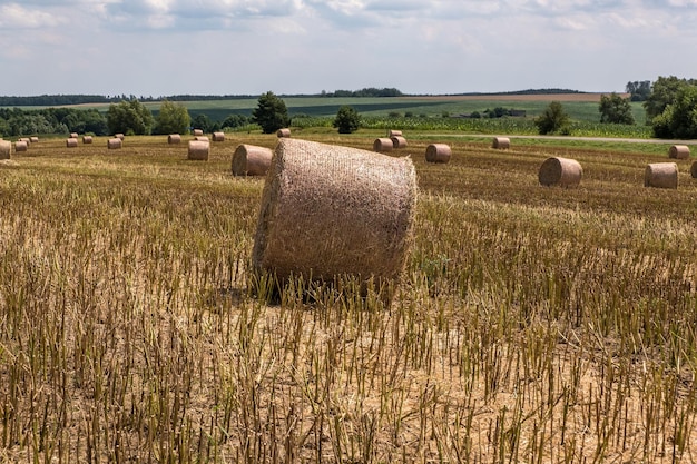 Hay bales under cloudy sky on harvested wheat field