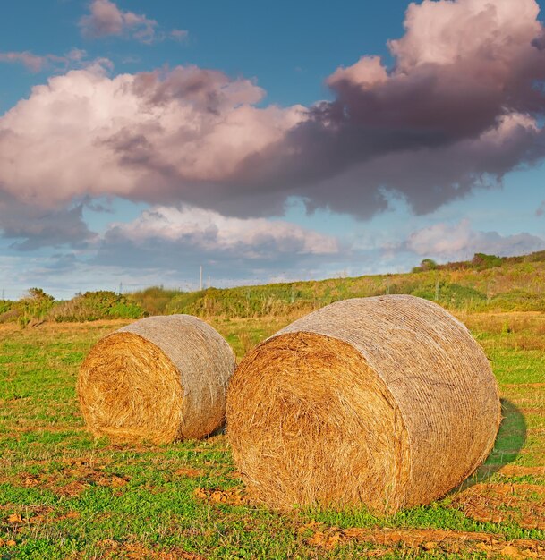 Hay bales under a dramatic sky