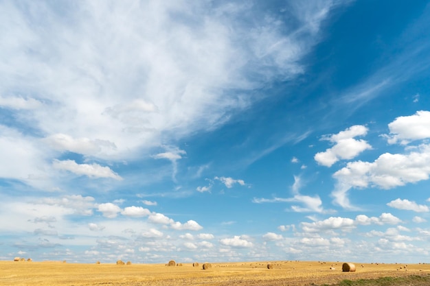 Hay bales dry in the field on a warm summer day under beautiful\
fluffy clouds and a blue sky beautiful rural landscape the season\
of grain harvesting and foraging for livestock cereals and\
legumes