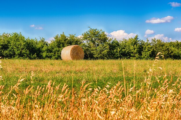 Photo hay bales on the field after harvest, countryside landscape in italy