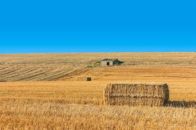 Hay bales on field against clear blue sky