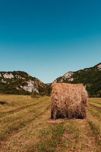 Foto bale di fieno sul campo contro un cielo blu limpido