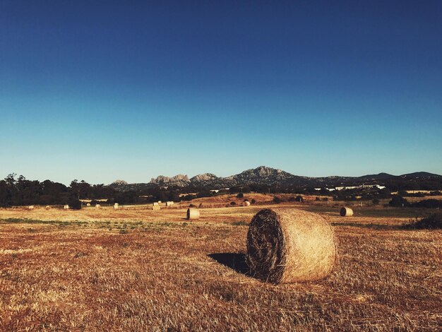 Foto bale di fieno sul campo contro un cielo blu limpido