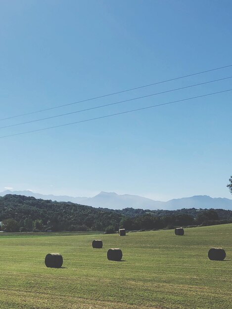 Hay bales on field against clear sky