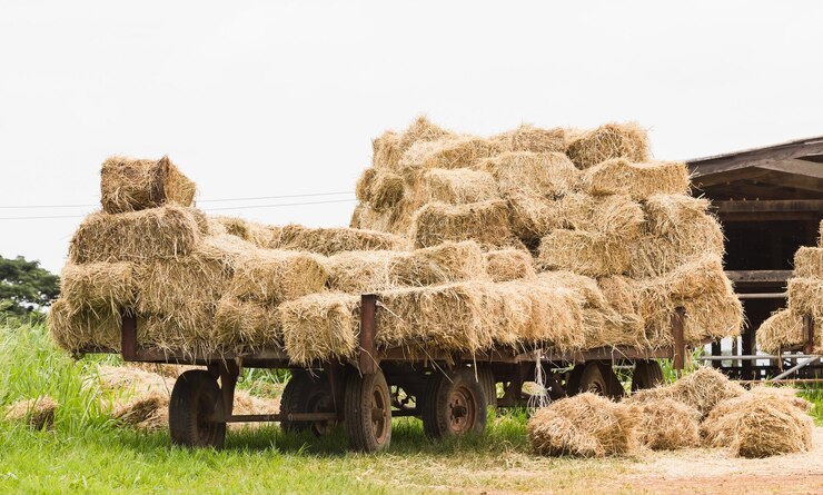 Photo hay bales on field against clear sky