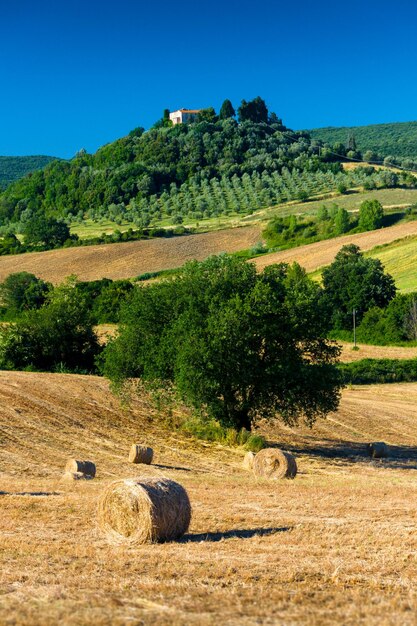 Photo hay bales on field against clear sky