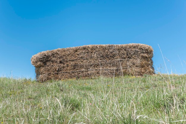 Hay bales on field against clear sky