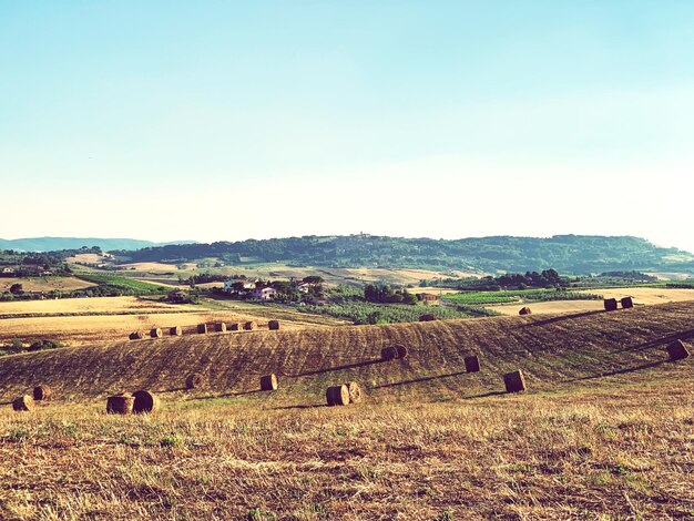 Foto bale di fieno sul campo contro il cielo