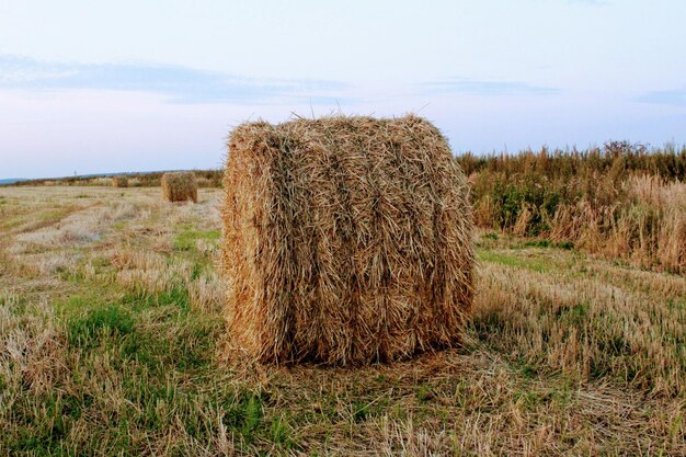 Foto bale di fieno sul campo contro il cielo