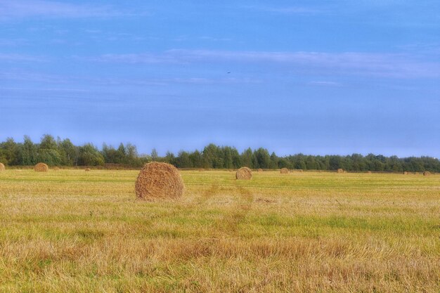 Hay bales on field against sky