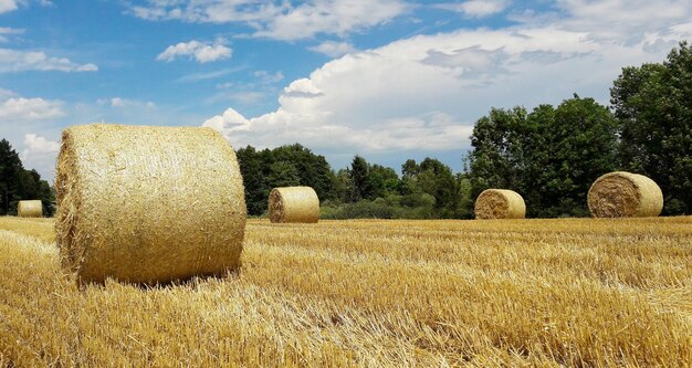 Photo hay bales on field against sky