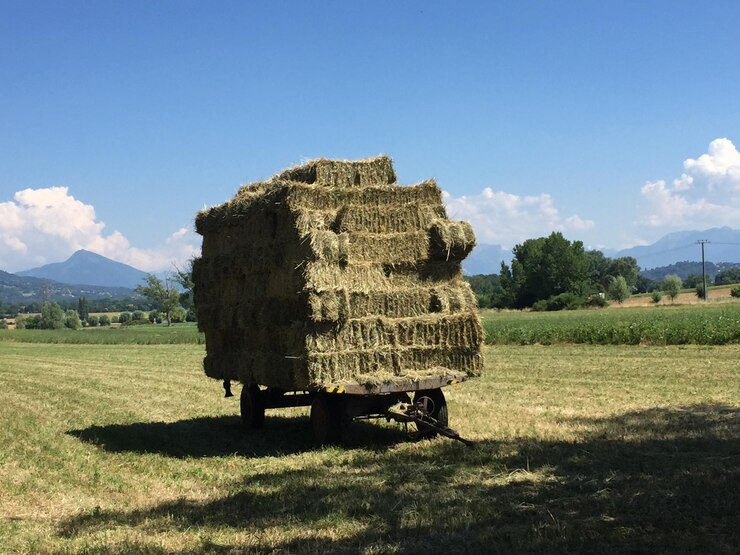 Фотография балы сена на поле на фоне неба