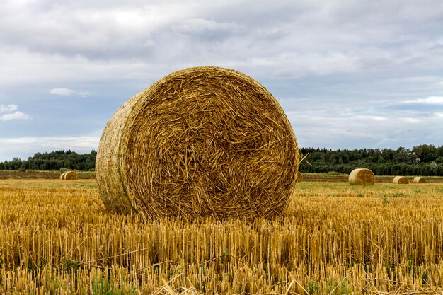 Hay bales on field against sky