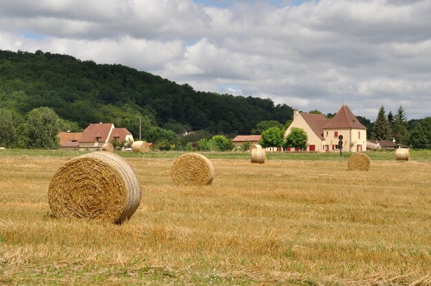 Foto bale di fieno sul campo contro il cielo