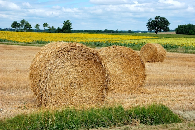 Hay bales on field against sky