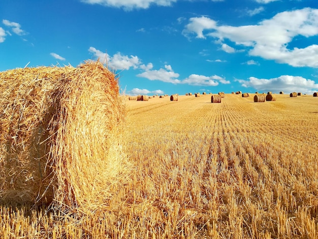 Hay bales on field against sky